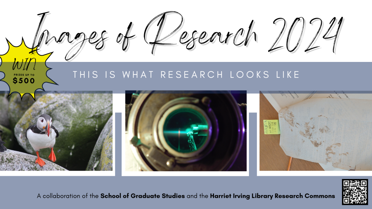 Images of Research 2024