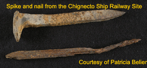 Chignecto spike and nail