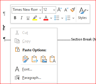 Paste options from mouse right-click