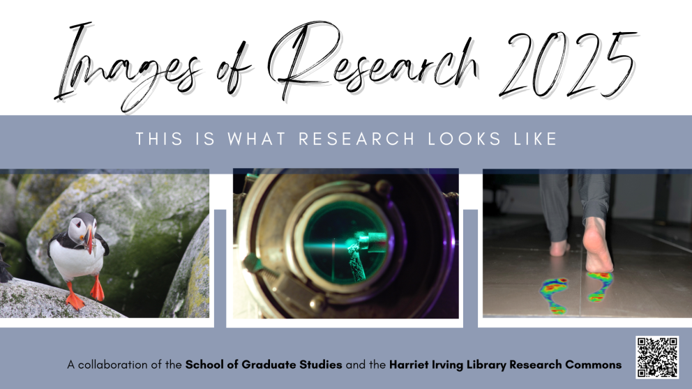 Images of Research 2025 Challenge Winners Announced
