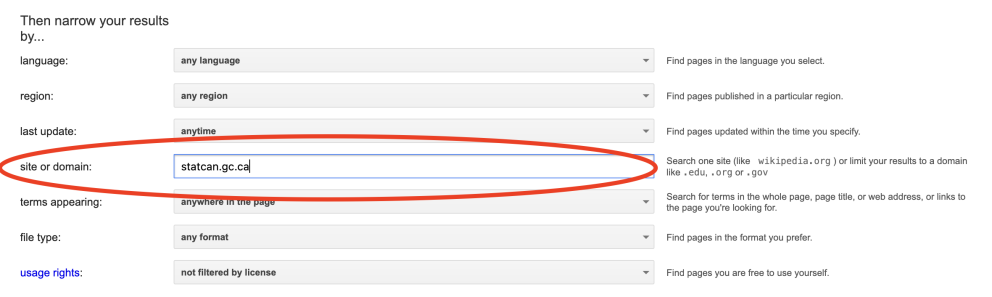 Site or domain search with Google Advanced Search