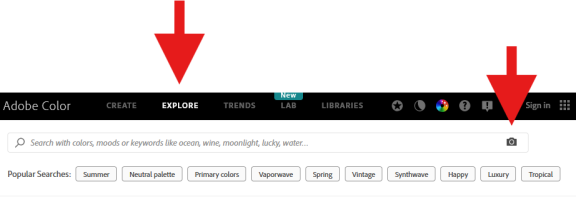 Adobe Colour search bar, and photo upload option