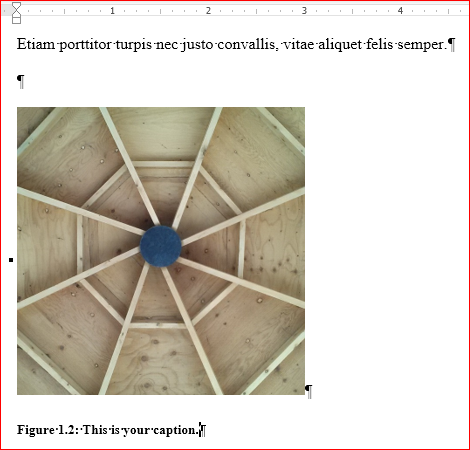 Example of figure caption with multilevel numeration