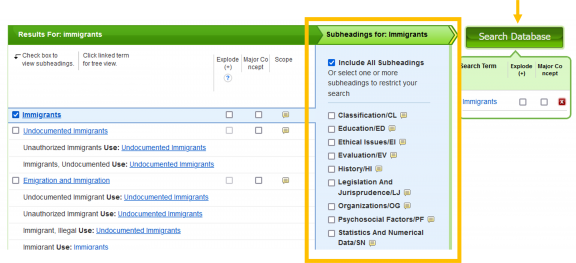 highlighting subheadings and search builder in cinahl subject headings