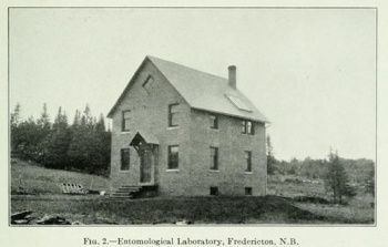 Dominion Entomological Building, ca.1916. G. Gordon Hewitt, Report of the Dominion Entomologist for the Year Ending March 1916. Ottawa: J. de L. Taché, 1917, pp. 16.