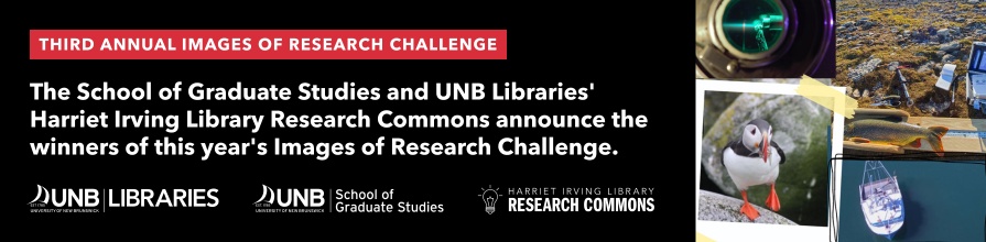 Winners of the Images of Research 2025 Challenge are: